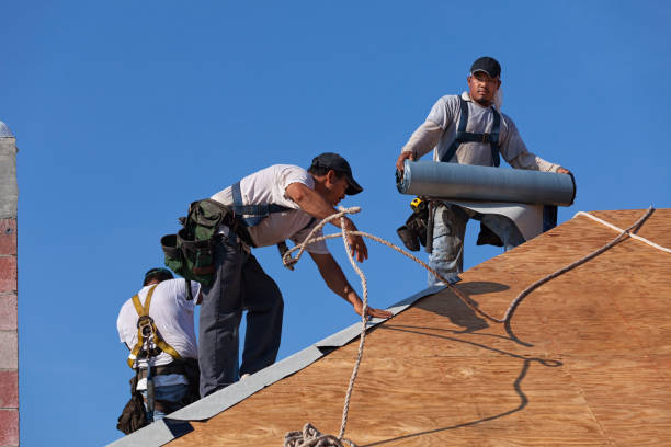Best Local Roofing Companies  in Twin City, GA
