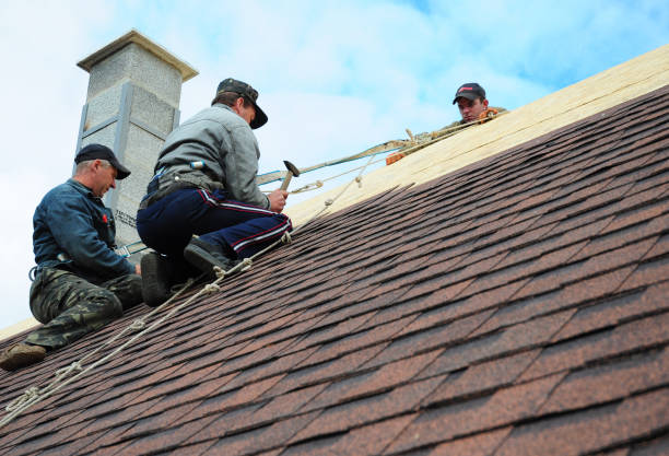 Residential Roof Replacement in Twin City, GA